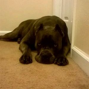 Meet your Posher, Shawn